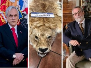 diplomático