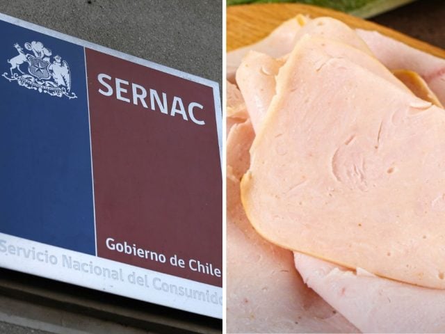 pechuga de pavo