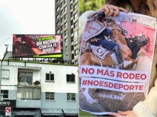 Día Nacional contra el Rodeo Chileno