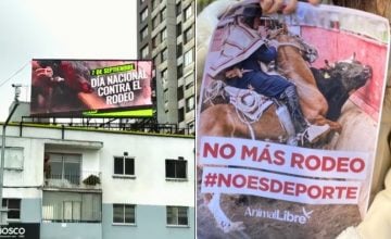Día Nacional contra el Rodeo Chileno
