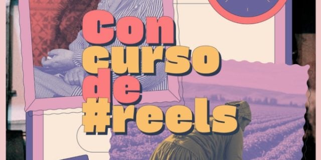 Concurso de Reels «Mujeres que inspiran» invita a participar a jóvenes de la Región de Los Ríos