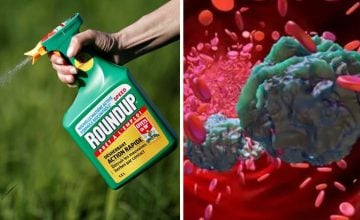 Roundup