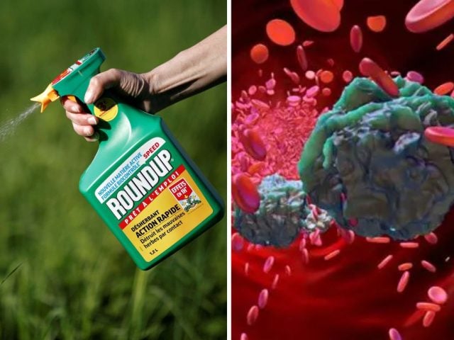Roundup