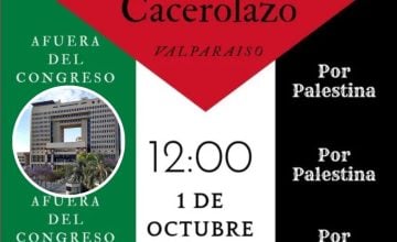 cacerolazo por Gaza frente al Congreso
