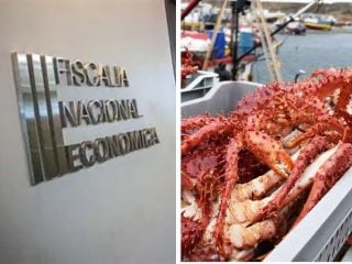 centolla