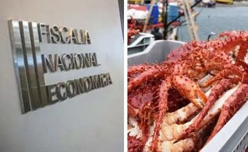 centolla