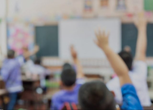 Proyecto de ley busca incorporar el respeto animal como principio clave en la educación chilena