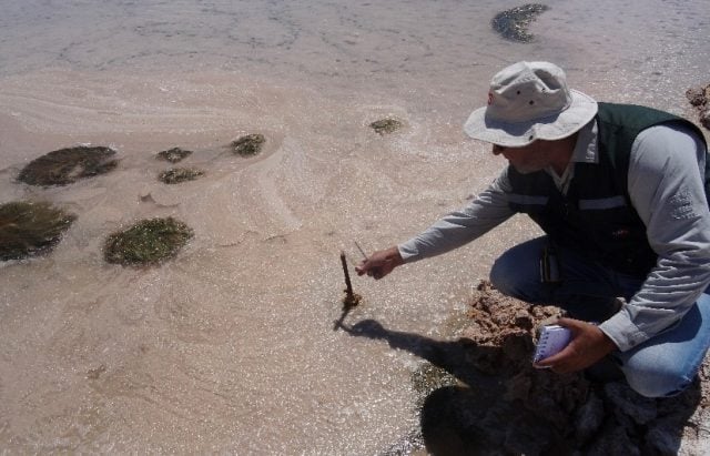 «No quedará Salar de Atacama al 2060»: Aplican multa de casi $4 mil millones a minera Albemarle por sobre-extracción de salmuera para litio