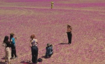 Desierto Florido 2025