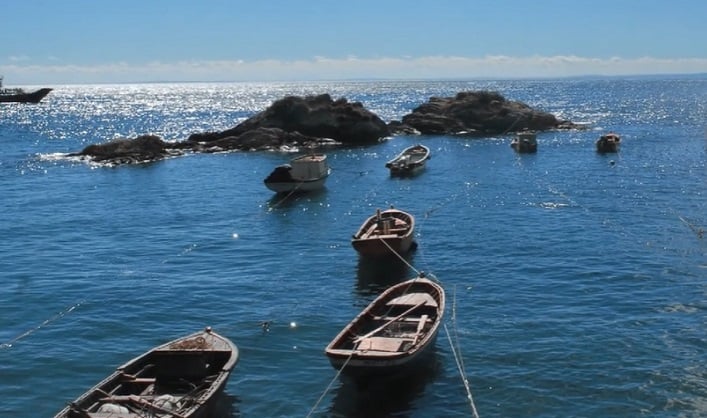 Acusaciones sin sustento contra Ley Lafkenche: Confirman que no existe un solo caso documentado de infracciones en Espacios Costeros de PPOO