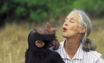 Jane Goodall
