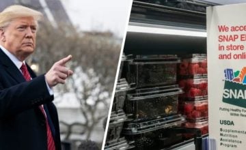 Lizzette Vela Lizzette Vela