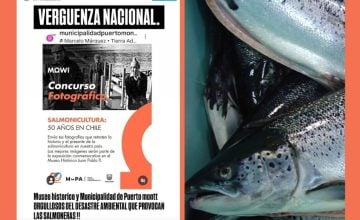 greenwashing salmonero Puerto Montt (5)