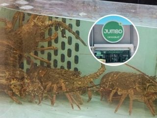 maltrato a langostas vivas en Jumbo