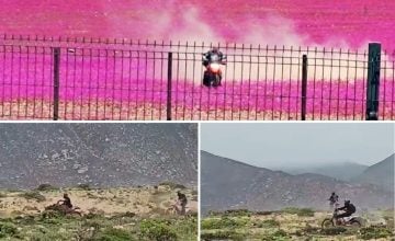 motos en el Desierto Florido