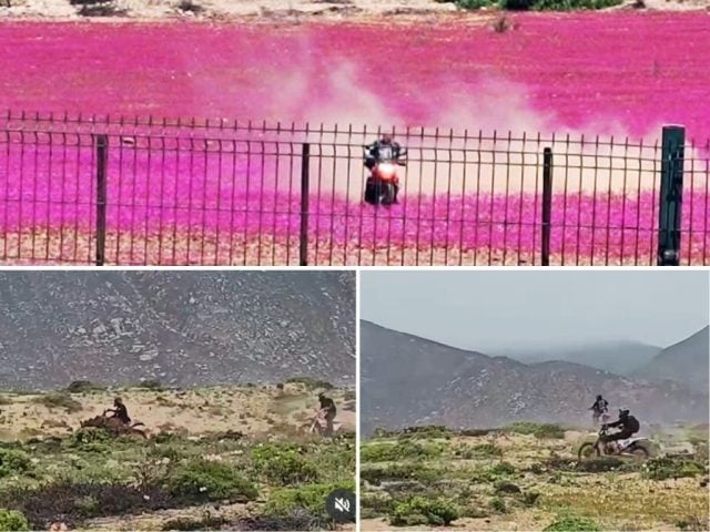 motos en el Desierto Florido