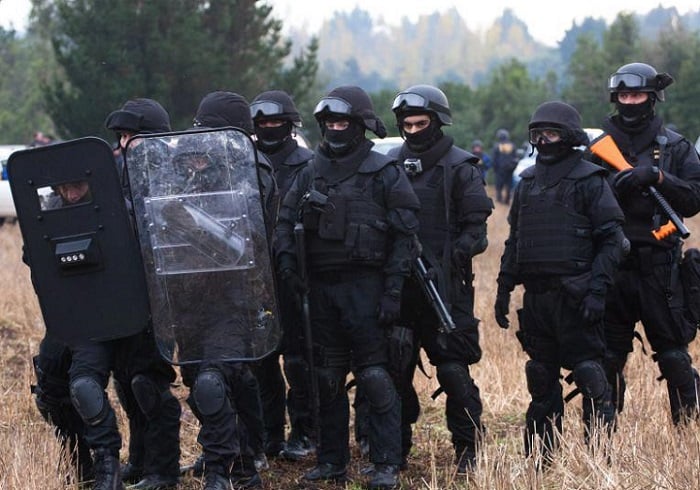 Corte acogió amparo a favor de niños mapuche que fueron vulnerados en violento allanamiento de la PDI en Ercilla