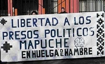 presos políticos mapuche huelga hambre (1)