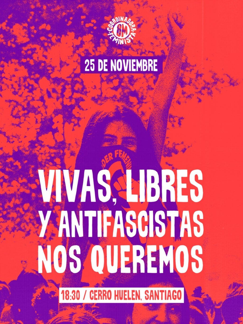 25N: Vivas, Libres y Organizadas nos queremos