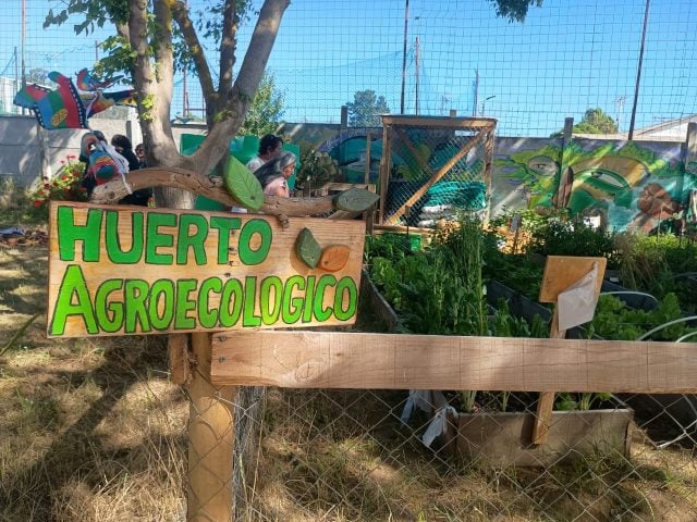 Soberanía alimentaria: Implementan Red de Huertos Urbanos en 7 comunas de la Región de Valparaíso