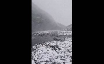 El Ciudadano México