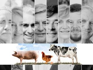 agenda animalista en Presidenciales 2025