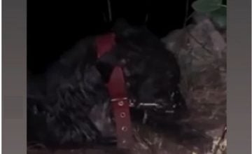 El Ciudadano México