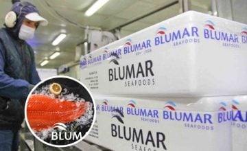 multa a Salmones Blumar 2