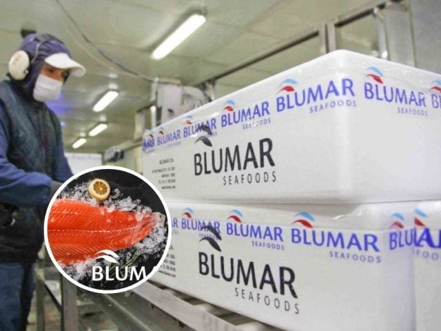 multa a Salmones Blumar 2