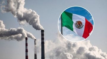 toneladas de carbono