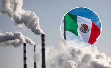 toneladas de carbono