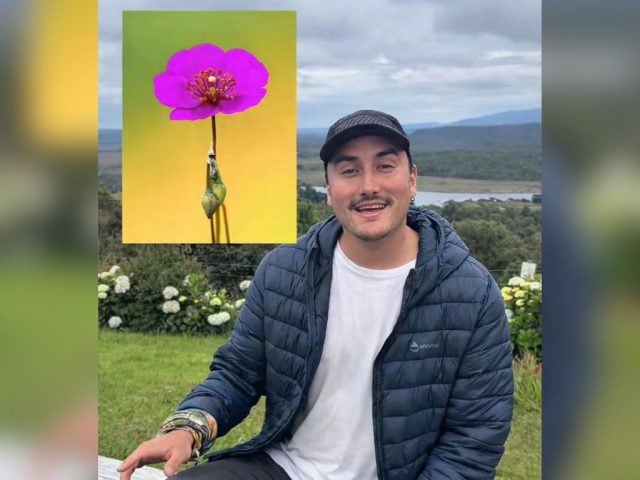 Fotografía chilena llega a National Geographic con flor del Desierto Florido