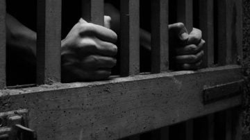 dirigente estudiantil