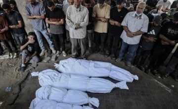 El Ciudadano México