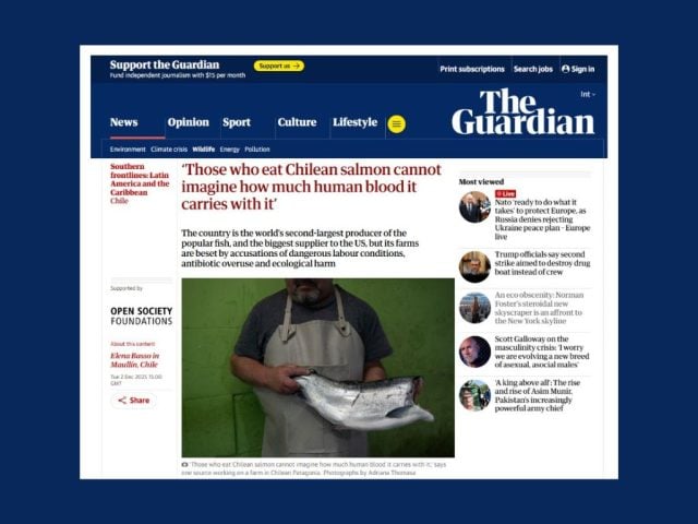 investigación de The Guardian sobre el salmón chileno