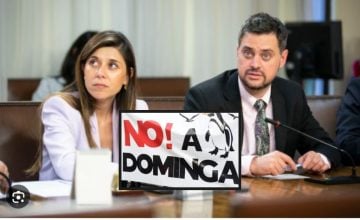 pagos de Dominga al estudio de Lagos y Vargas