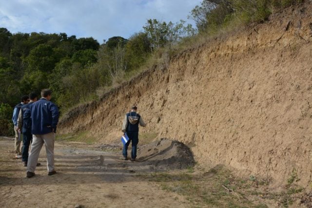 Por primera vez en la historia: Ordenan remate de predios de inmobiliaria condenada por daño ambiental