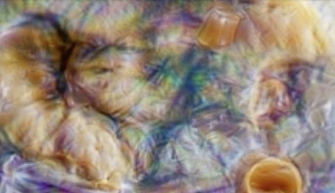 La artista que traduce la bioluminiscencia en un lenguaje de luz y conciencia ambiental