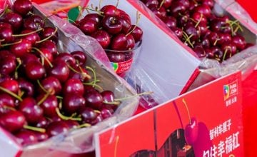 El Ciudadano Argentina