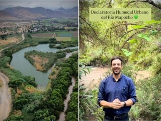 humedal urbano del Mapocho (1)