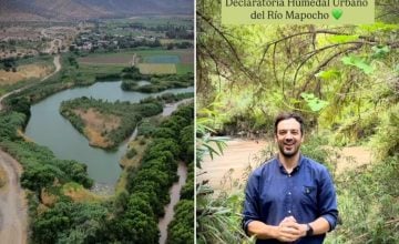 humedal urbano del Mapocho (1)