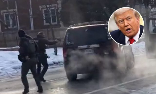 terrorismo doméstico