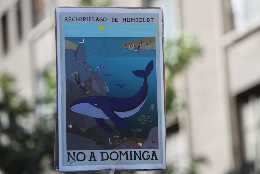 Derrota judicial de proyecto Dominga: Corte de Antofagasta tumba resolución de Tribunal Ambiental