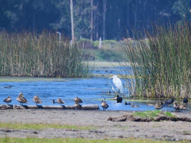cómo reconocer un humedal y defenderlo