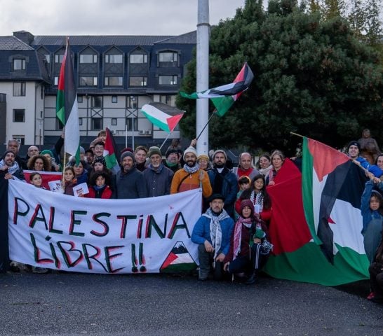 PucónxPalestina desmiente a embajador de Israel y acusan graves faltas a la verdad