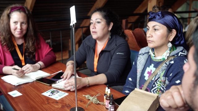 FIC Polo Creativo y Turístico: El innovador modelo que busca transformar a Los Ríos en epicentro del turismo biocultural