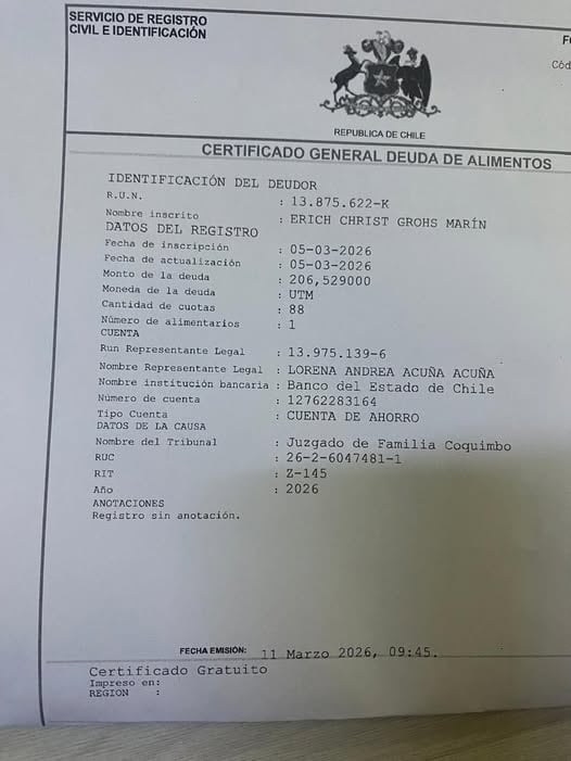 Diputado Erich Grohs en el Registro de Deudores de Alimentos: nueva polémica reabre cuestionamientos éticos