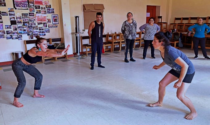 Docente y actriz Elizabeth Schulz impulsa agrupación teatral de profesores en Valdivia