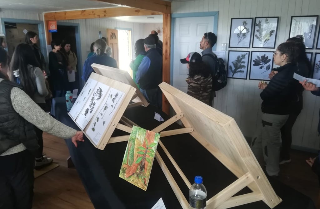 Parque Mawünko de Chiloé presentó museo y herbario comunitario