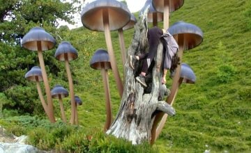 El Ciudadano México